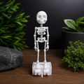 Dancing Aquarium Skeleton Decoration | Funny Moving Fish Tank Ornament | Flexible Poseable Aquarium Decor
