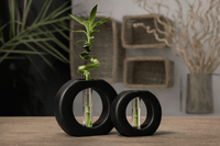 Infinity Ring Hydroponic Bamboo Vase – Modern Minimalist Table Decor