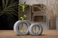 Infinity Ring Hydroponic Bamboo Vase – Modern Minimalist Table Decor