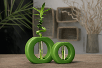 Infinity Ring Hydroponic Bamboo Vase – Modern Minimalist Table Decor