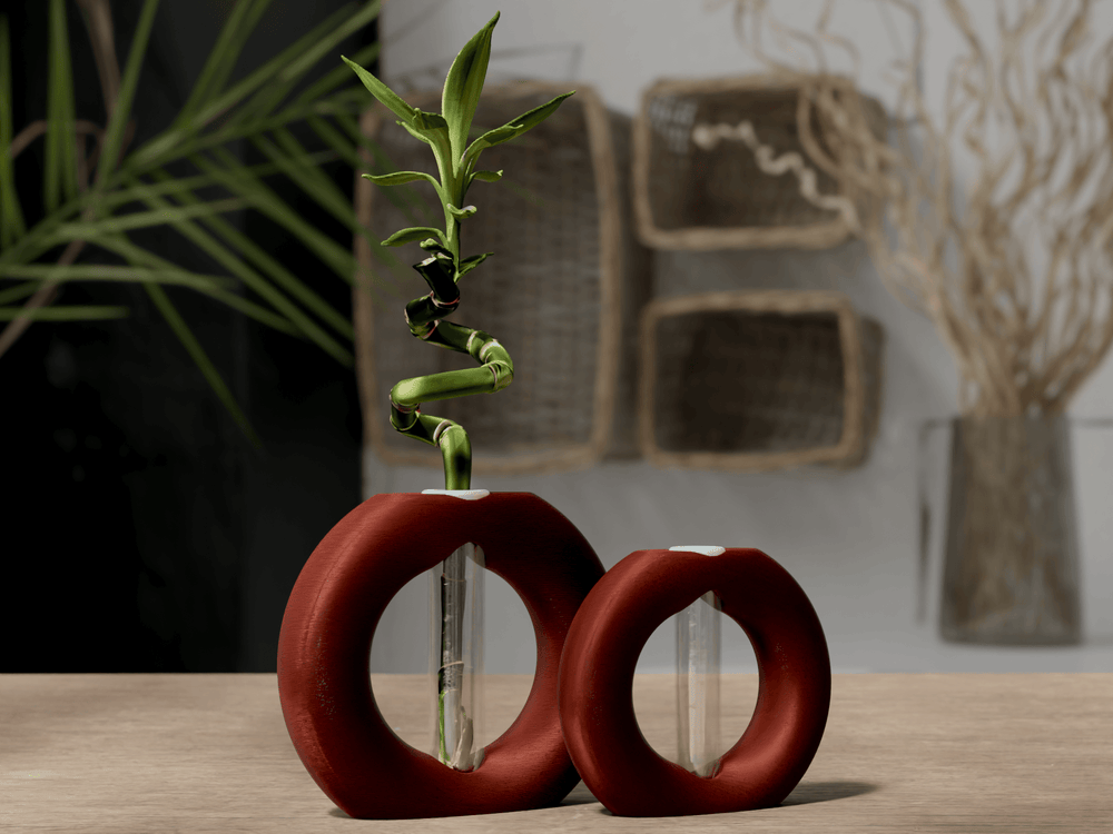 Infinity Ring Hydroponic Bamboo Vase – Modern Minimalist Table Decor