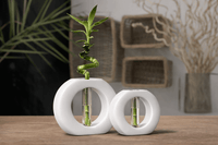 Infinity Ring Hydroponic Bamboo Vase – Modern Minimalist Table Decor